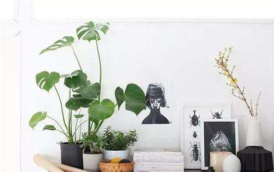 timg (26).jpg timg (26).jpg